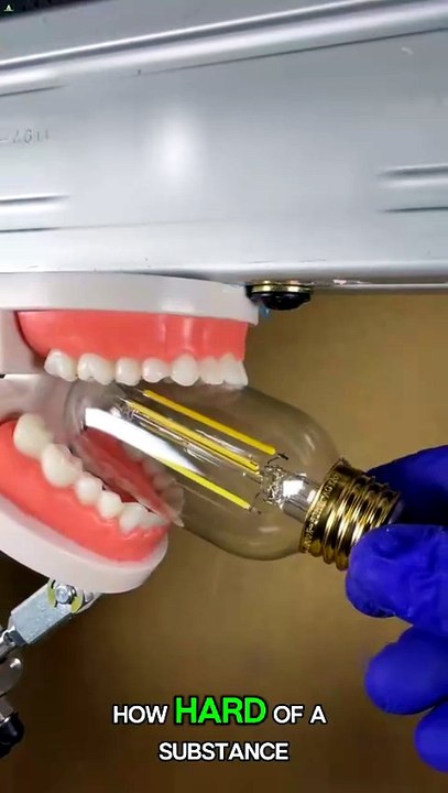 How Strong Is the Human Jaw? 😱 The Answer Is Shocking!