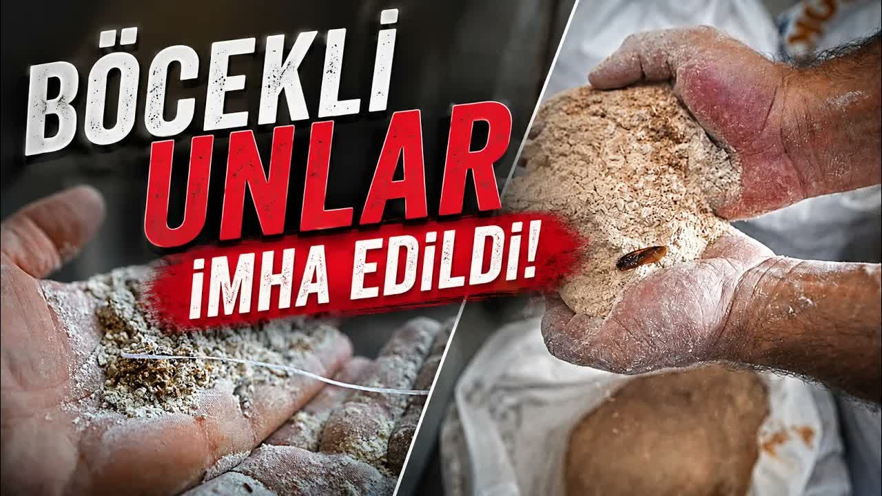Un fabrikasında şoke eden görüntü:  30 ton böce...