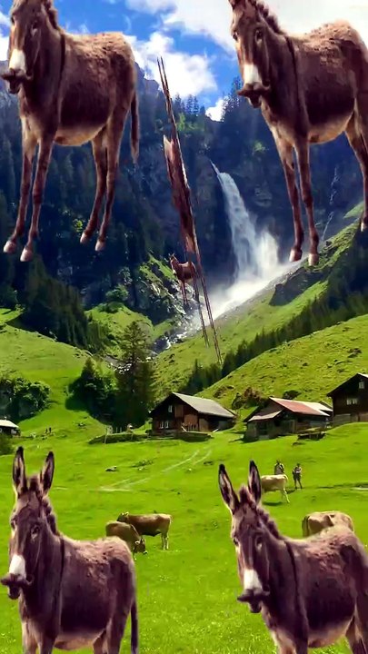 SpinningMule - #funnyanimals #pets #fyp #SpinningMule