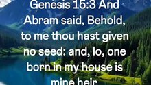 🍉🍉🥥🥑🥦🍉🍊🍊🍉🥑🍉🥑🕊❤🕊🕊🕊❤