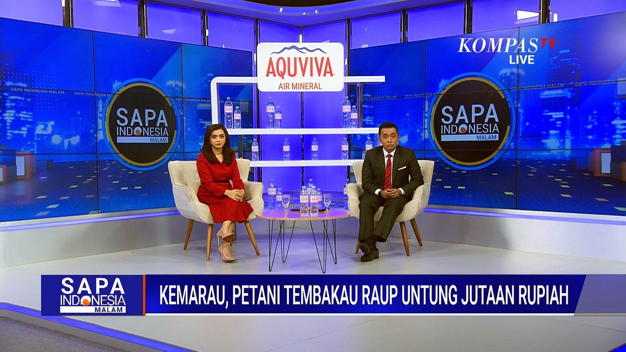 Berkah Kemarau, Petani Tembakau Bisa Raup Untun...