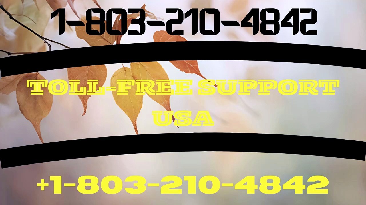 **@*{{Trust™©}} Wallet Support© US Toll-Free — Complete 24x7 CUSTOMER Support Options & Channels: 2026 Guide