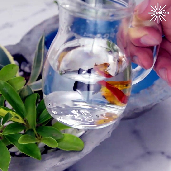 Making a fish pond with watermelon & cement and...