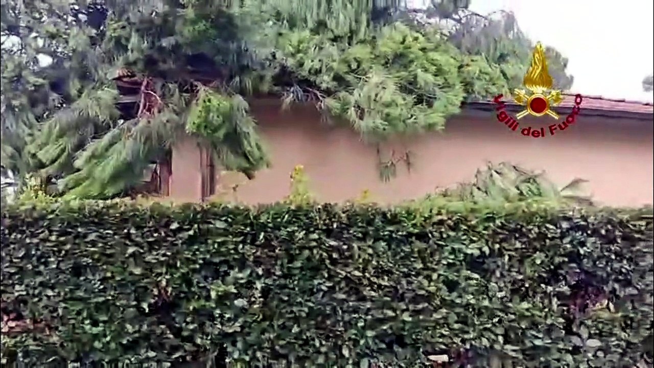 Tromba d'aria nel Lucchese, alberi caduti su au...