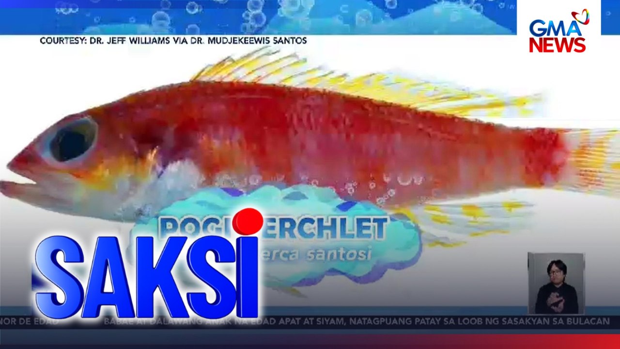 Alam Mo Now! -- Isdang "pogi" | Saksi