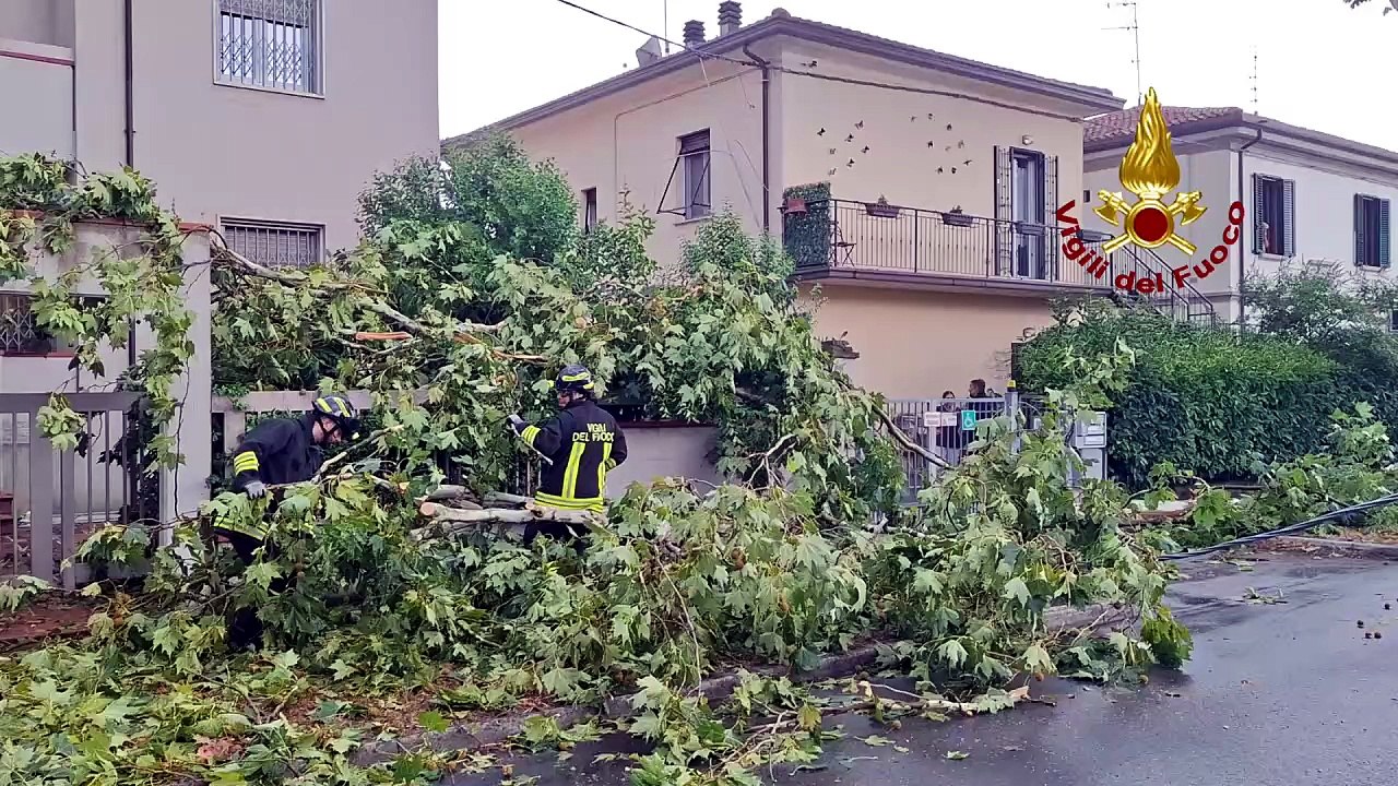 Dal primo pomeriggio i Vigili del fuoco sono im...