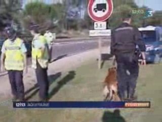 Busted on TV