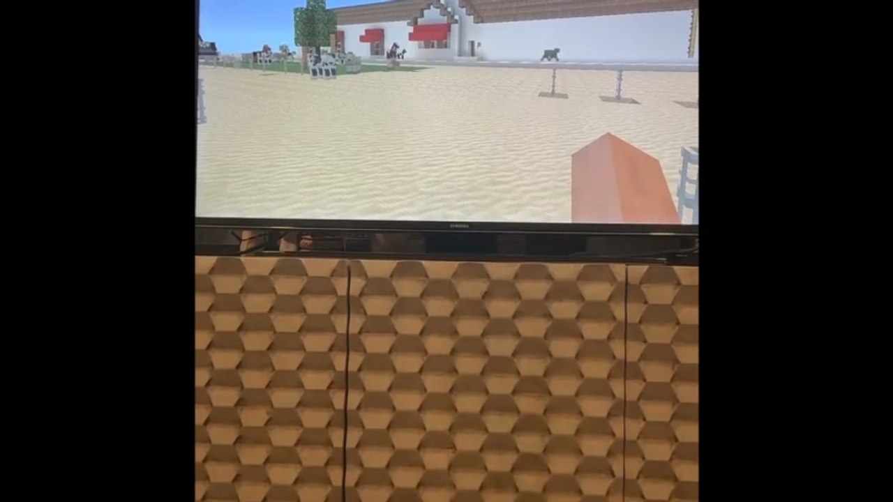 Mindcraft house tour