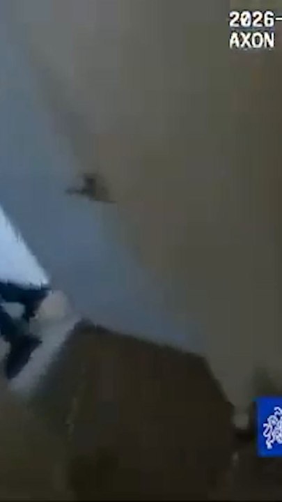 Stabbing Suspect Caught Hiding Under Bed After...