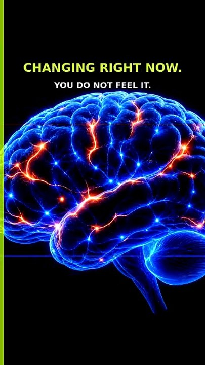 Your Brain Is Changing Right Now (Neuroplasticity Explained)