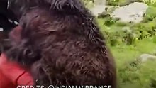 Animals are Friends || Acharya Prashant