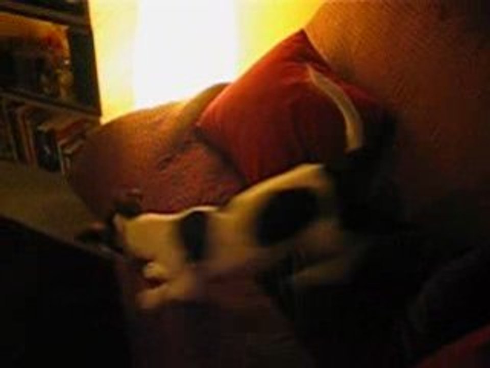 Daïa joue avec ses friandises!