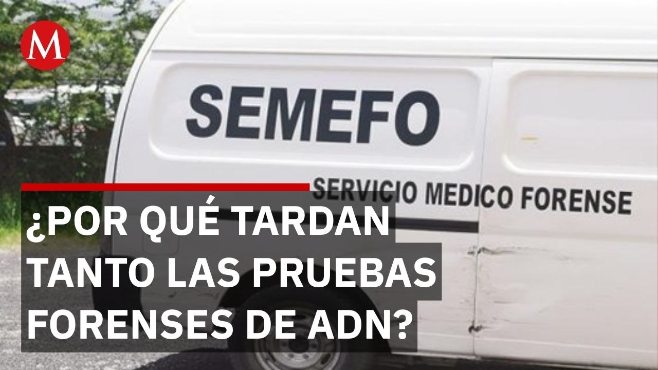 Instituto Forense explica por qué no hay plazo...