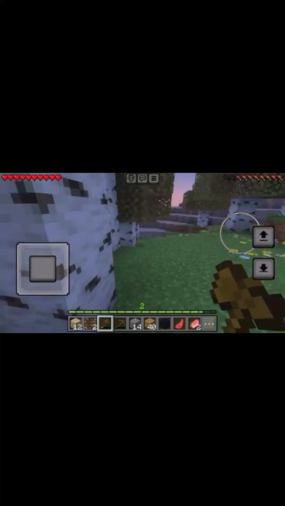 Being stupid in Minecraft