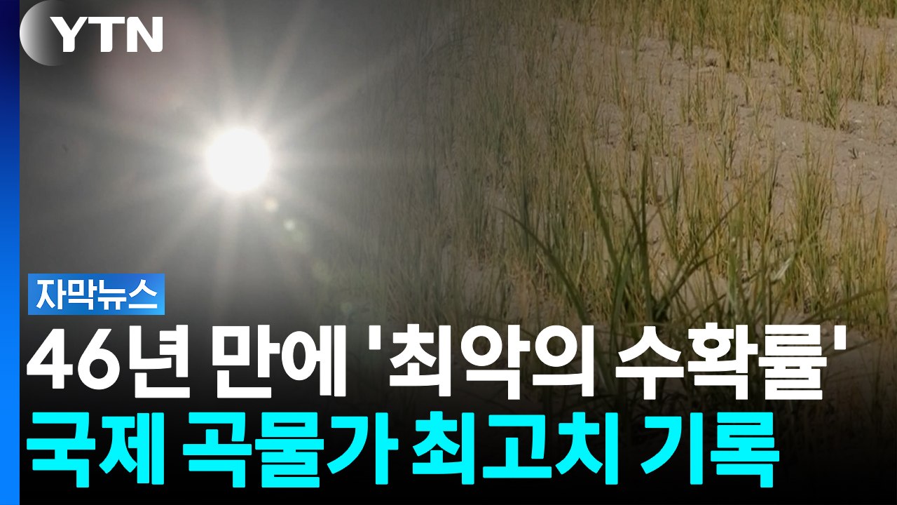 유럽 덮친 가뭄에 농작물도 말랐다...식탁 물가 덮치는 '최악의 여름' [자막뉴스]...