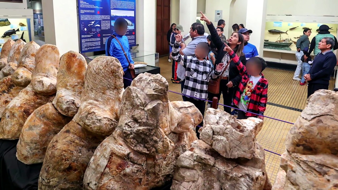 The Biggest Prehistoric Sea Monsters Ever Discovered