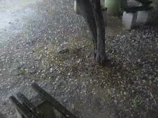 Alıçlı köy pikniği - çatalca - 2008