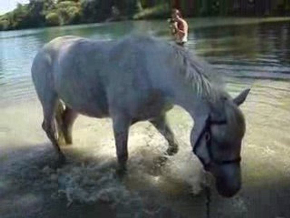 Balade_lac_avignonet_walou_idole 085