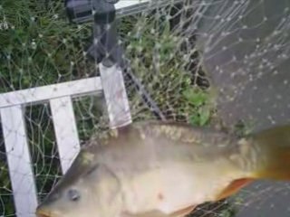 Les étangs de la cressonniere  le 19-07-2008