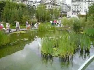 V47- Une mare devant l'hôtel de ville