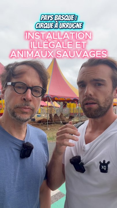 CIRQUE D’URRUGNE : INSTALLATION ILLÉGALE ET ANIMAUX SAUVAGES