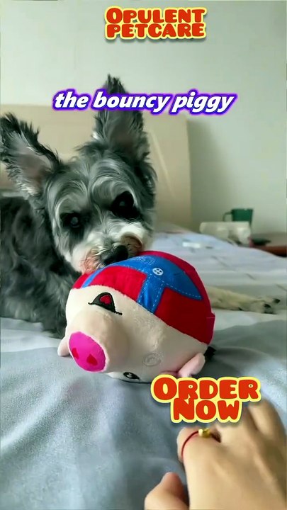 USB Rechargeable Pig Jumping Ball – Remote Cont...