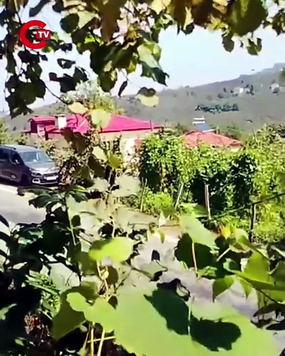 Giresun'da helikopter düştü