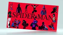 Spider Man Video