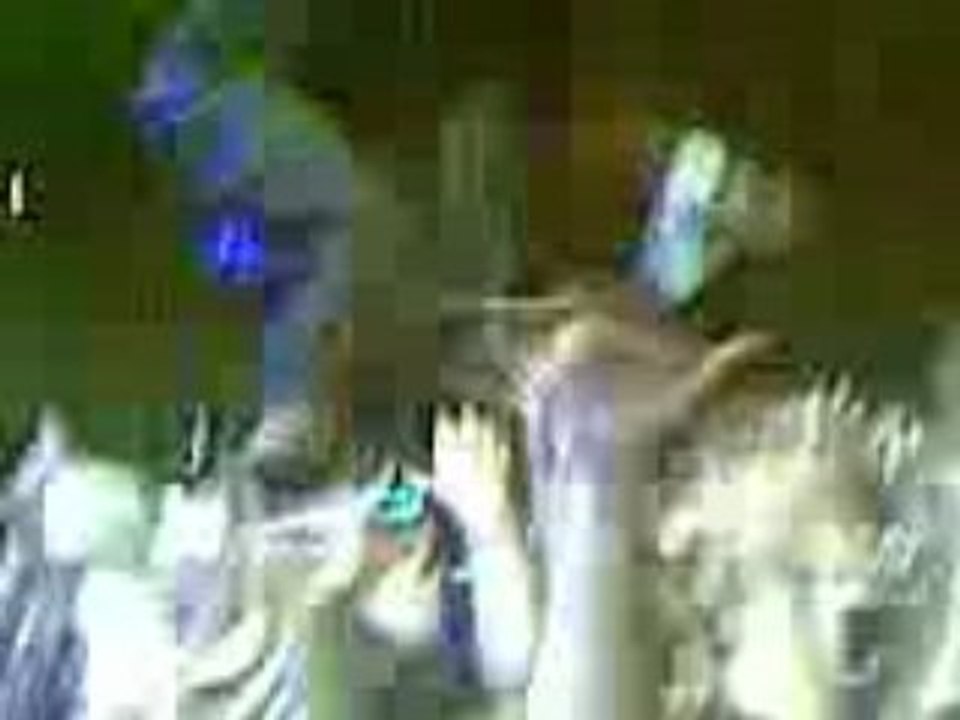 Method man sur la foule a Dour 2008
