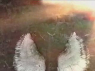 Goldfrapp - Clowns (Album Version) 🎶