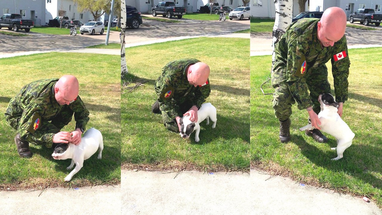 Dog Joyfully Welcomes Home Military Father After 7.5-Month Absence