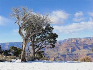 The Grand Canyon and Sedona