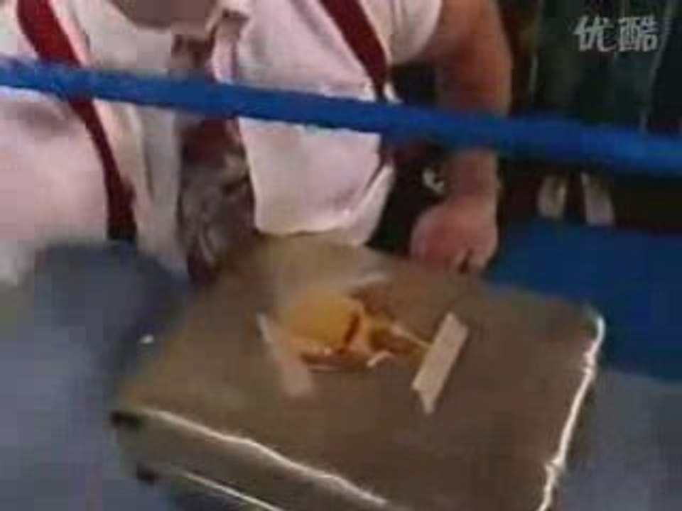 Raw 3-1-93 (5)