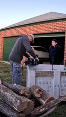 5-Year-Old Fallen Tree vs. Tiny Chainsaw_ Guess Who Won_