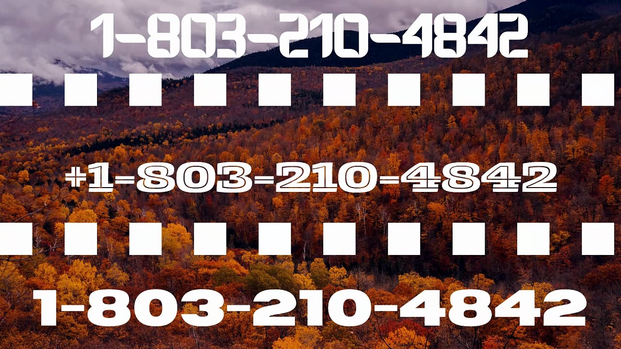 ¶ ¶ Official {{Crypto.com™©}} Wallet Support© Toll-Free Phone Number — Complete 24x7 CUSTOMER Support Options & Channels: 2026 Guide