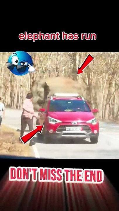 Elephant attack the human 😯