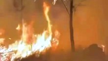 Incendio