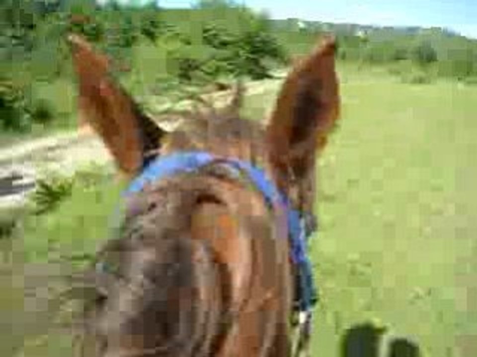 galop entre nenettes