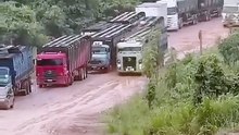 Motorista arrisca e consegue subir barreiro com caminhão boiadeiro