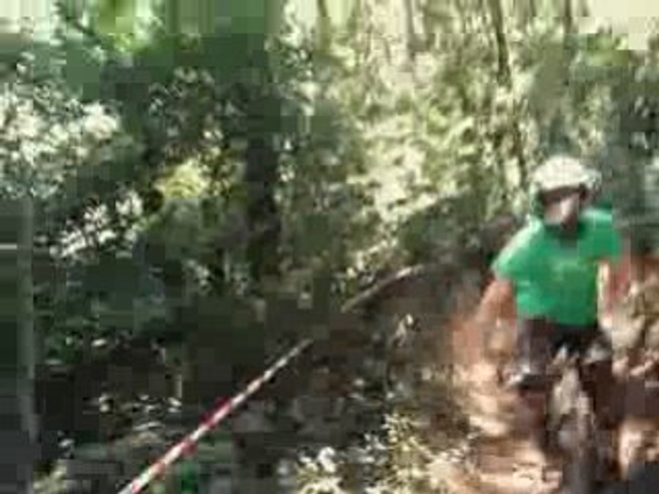 forest bike barck
