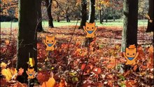 encuentra los 7 gatitos