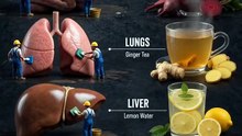 Organ Healing Drink