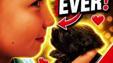 This Puppy Gave the Sweetest Kiss 🥹🐶❤️ | Pure Love