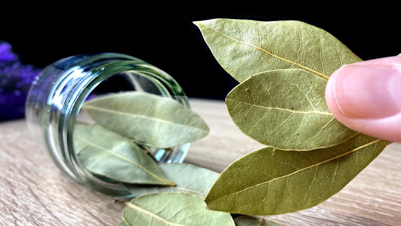 Nur 3 starke Inhaltsstoffe und dein Haar wird sehr schnell wachsen!