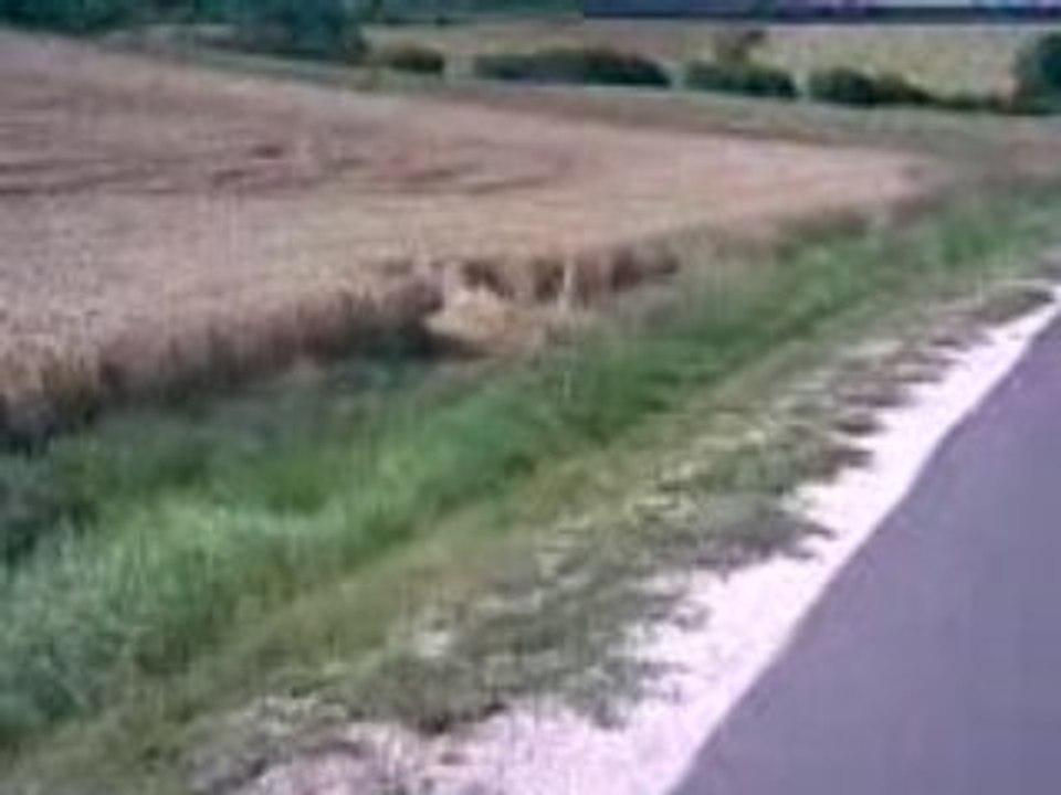 Accident Kawasaki ER-6n