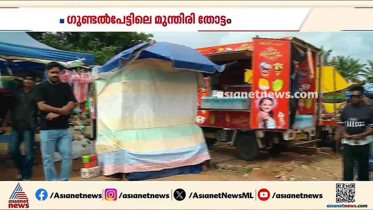 പൂക്കൾ മാത്രമല്ലെടോ.. വെെറലാണ് ​ഗുണ്ടൽപേട്ടിലെ...
