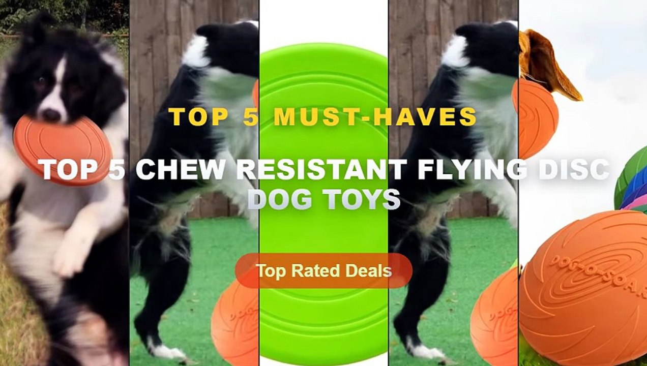 Ultimate Guide to the Best Top 5 Chew Resistant...