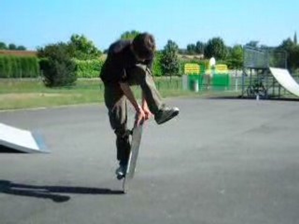dander pogo