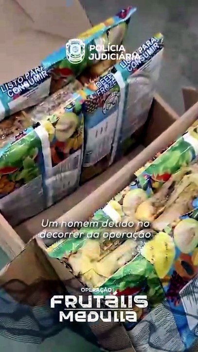 PJ mostra as imagens da apreensão de 150 kg de...