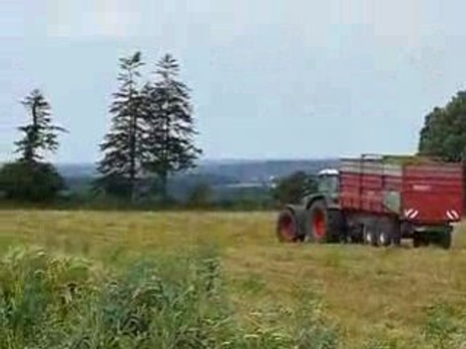 Ensilage céréales